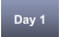 Day 1