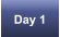 Day 1