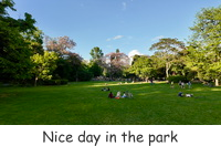 Nice day in the park