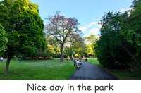 Nice day in the park